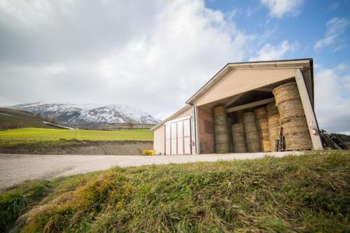 Iekārtas, La Fattoria dei Sibillini in Montemonako
