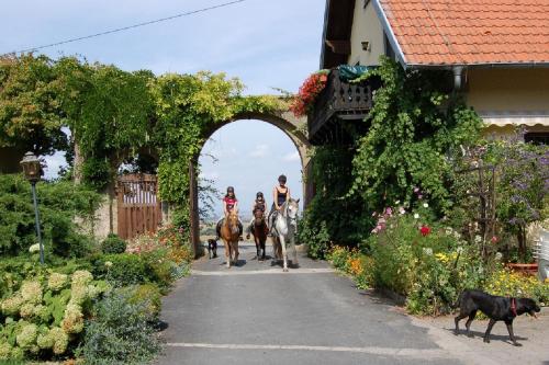 Ferienwohnungen Lindleshof - image 14