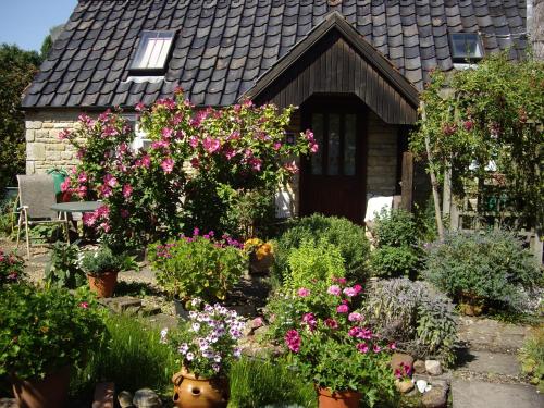 Picture of Moat Cottage Barns