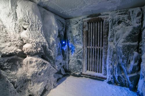 Tsunami Spa Hotel - image 7