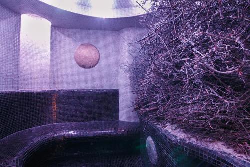 Tsunami Spa Hotel - image 4