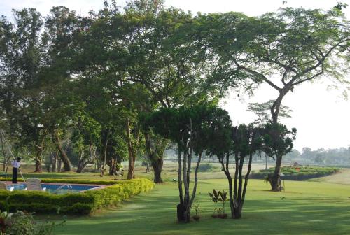 Kaziranga Golf Resort