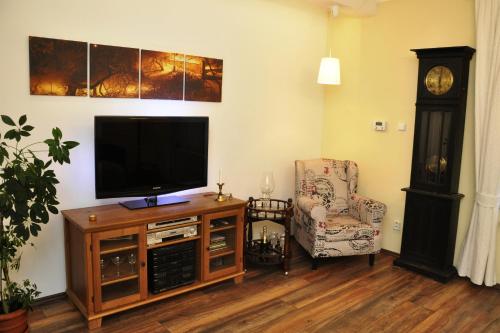 Atmospheric Quiet Apartment, Praga (foto 11)