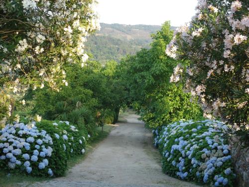 Quinta de Luou - image 6