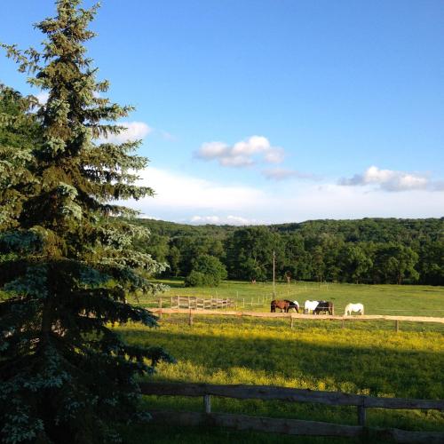 Kerca Bio Farm - image 13