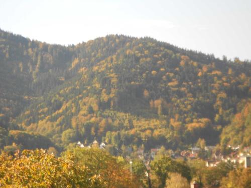 Quartier 1 - Apartment - Freiburg im Breisgau