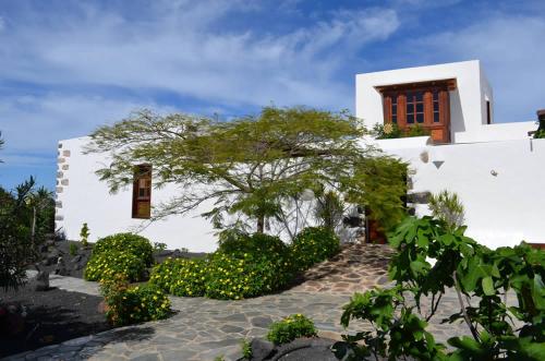 tuin, Villa El Inti in Tinajo