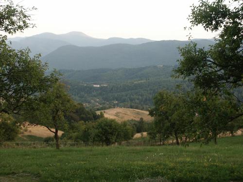 Vacation Home Selo Boykovets - image 8