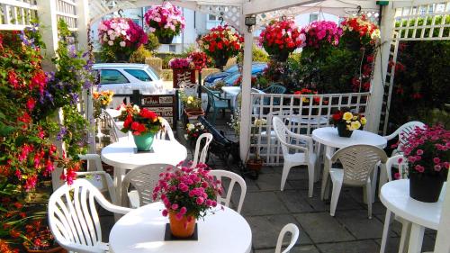 The Acorn Lodge chambre d'hôte Ilfracombe