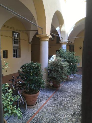 Rooms H Ercolani, Bologna (photo 5)
