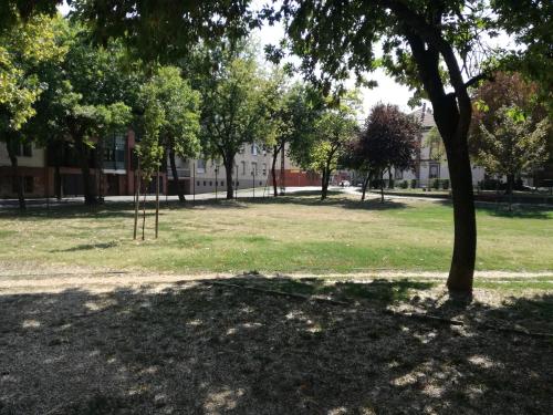 Dudi Apartman
