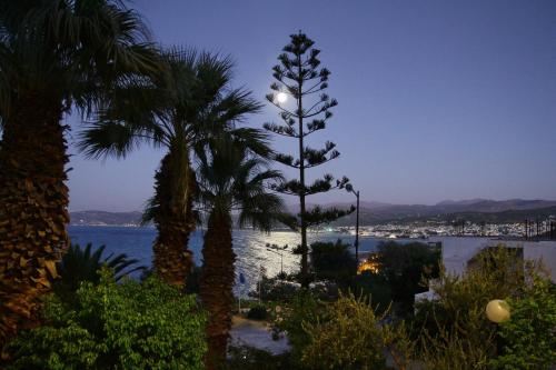 Delfini Apartments 2