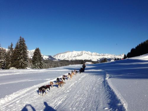 Chalet 13 personnes-Le Vanvolet