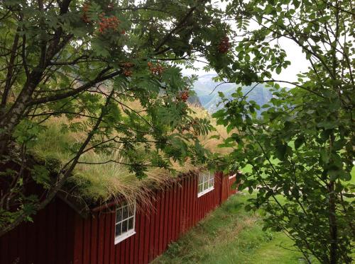 Eidsdal Camping og Feriehus