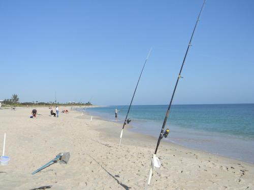 Seaspray Surf Lodge