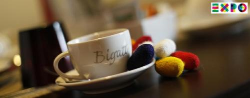 Bigatt Bed & Breakfast - Accommodation - Vanzago