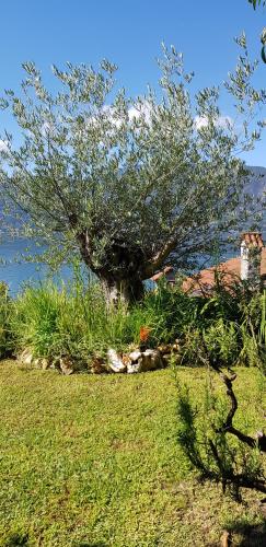 B&B Renalù - image 9