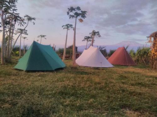 周邊環境, 韋弗肯尼亞旅館 (WE4Kenya Guesthouses) in 安博塞利