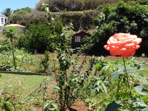 Casa Rural María Cruz - main image