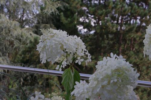 Logis Hostellerie De La Claire Fontaine - image 11