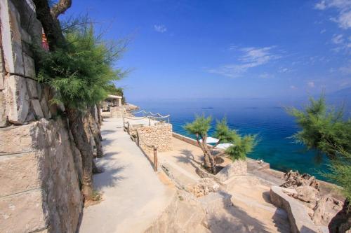 Robinson Merlot - image 10