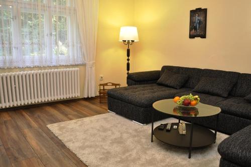 Atmospheric Quiet Apartment, Praga (foto 7)
