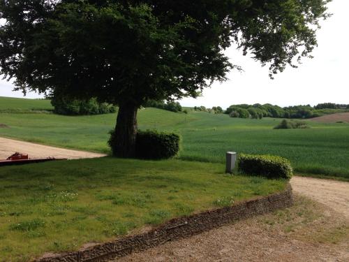 Entrada, Lundgaarde Bed & Breakfast in Kjellerup