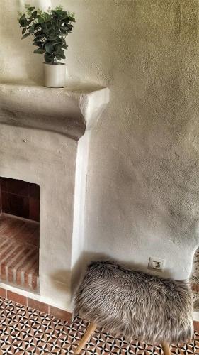 EL TORREON 109 CHARMING B&B - image 12