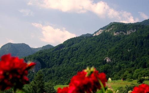 Pr Bevc, Bled (photo 3)