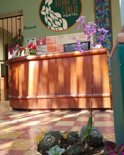 오악사카 Hierba De Conejo Hostel 2성급 호텔 객실