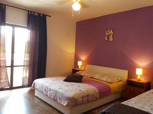 Guest House Sucuraj - image 13