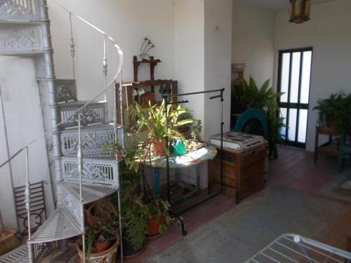 酒店外观, ztiR in 普拉亚达洛查