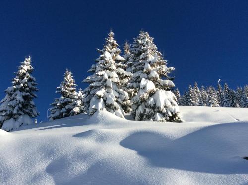 Chalet 13 personnes-Le Vanvolet