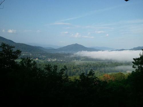 Misty Vista - main image