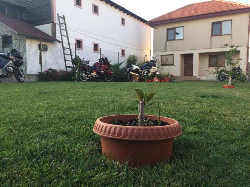 Dārzs, Casa Noastra in Vama Veche