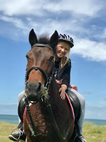 Ferienhof Utech - image 11