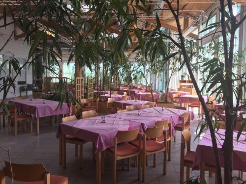 Toit ja joogid, Hostel Obertrum in Obertrum Am See