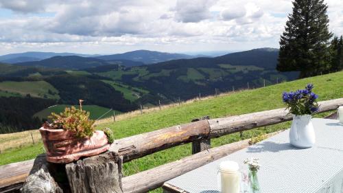 Gartenwohnung auf der Sommeralm