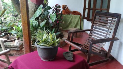 Kalana Homestay in Sigiriya