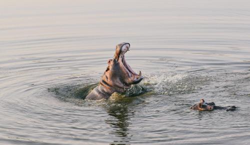Monate Game Lodge Monate Game Lodge