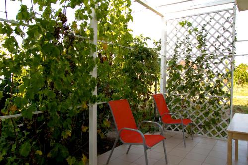 Park-hotel Ryba-Kit - image 6
