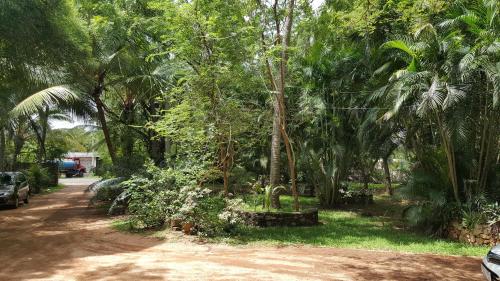 

Serandib Family Guest