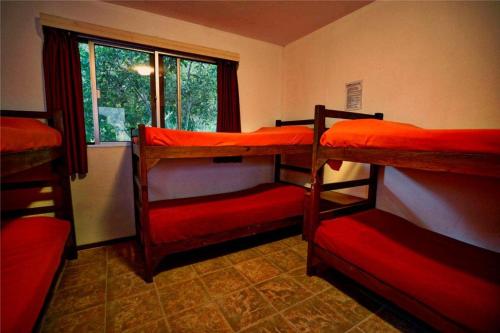 1 twin bed