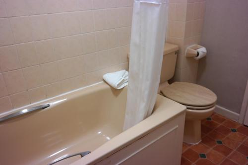 Standard Twin Room image 7
