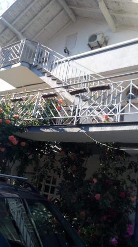 Apartments Ajlin