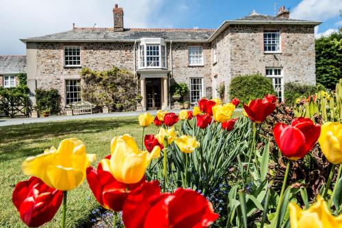 Broomhill Manor Holiday Cottages, , Cornwall