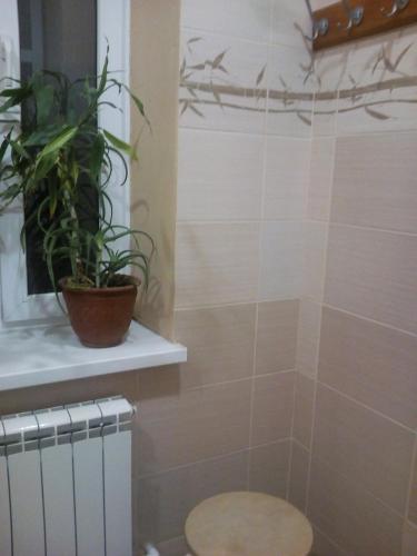 Guest House on Stasova 59 - image 5