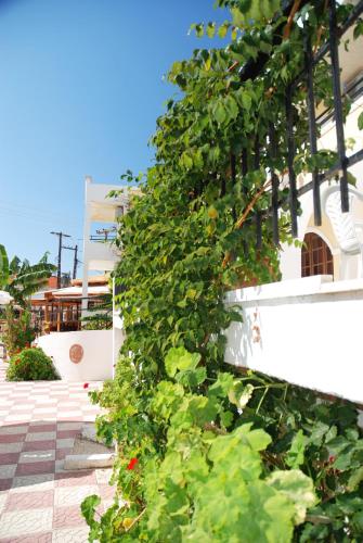 Vanessa Hotel - image 11