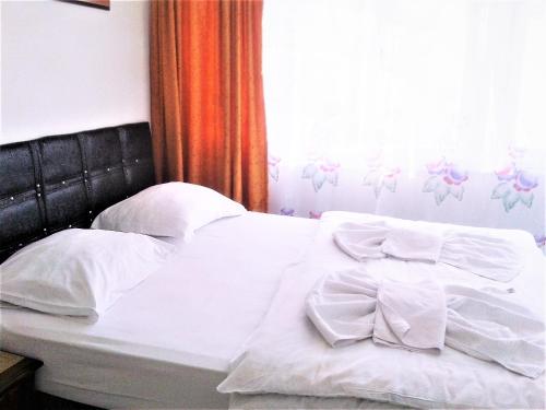 Bereket traveler Hotel, Istanbul (fotografie 4)