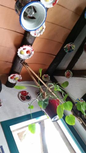 Hostal la Ninfa - image 10